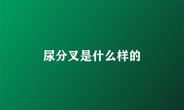 尿分叉是什么样的