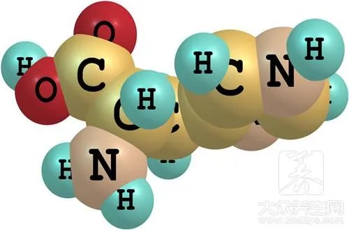 赖氨酸维B12颗粒有哪些功效