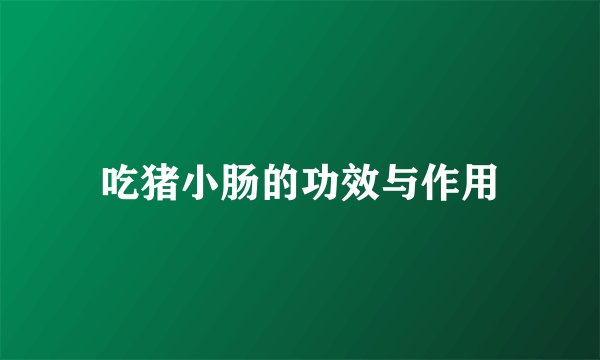 吃猪小肠的功效与作用