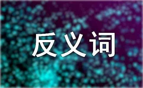 坚固反义词是什么