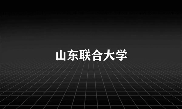 山东联合大学