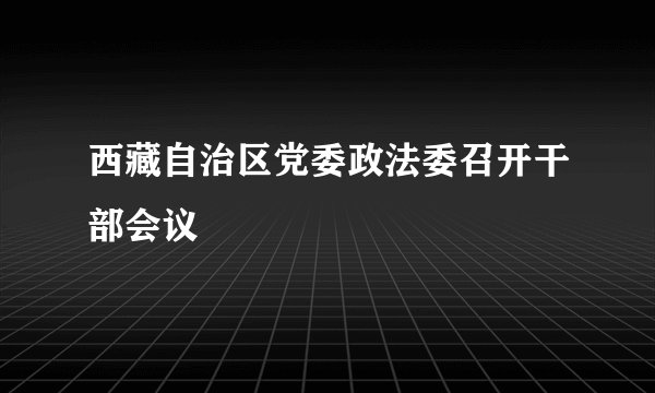 西藏自治区党委政法委召开干部会议