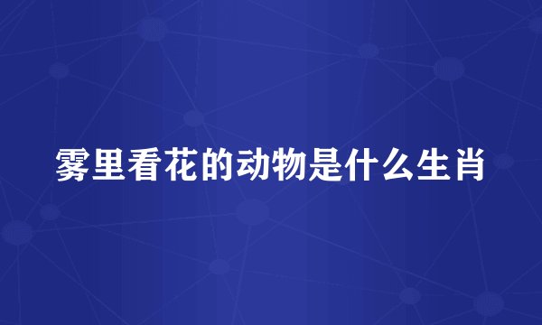 雾里看花的动物是什么生肖