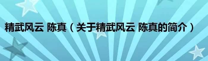 精武风云 陈真（关于精武风云 陈真的简介）