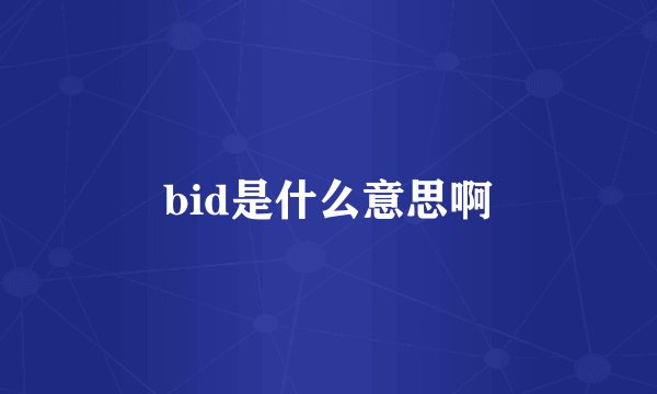 bid是什么意思啊