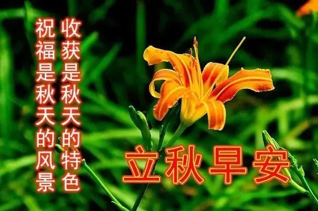 关于立秋的古诗2022立秋早上好图片？
