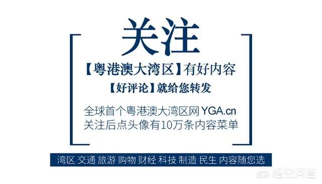 广州一女子被高空掉落的狗砸成重伤你怎么看？