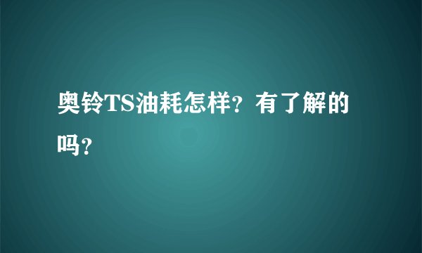 奥铃TS油耗怎样？有了解的吗？