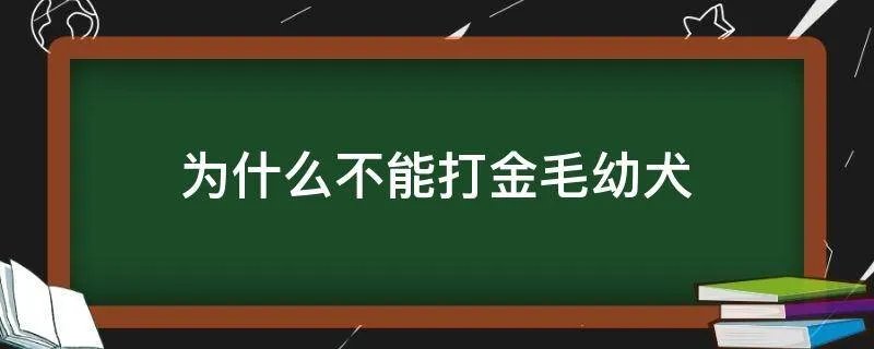 为什么不能打金毛幼犬