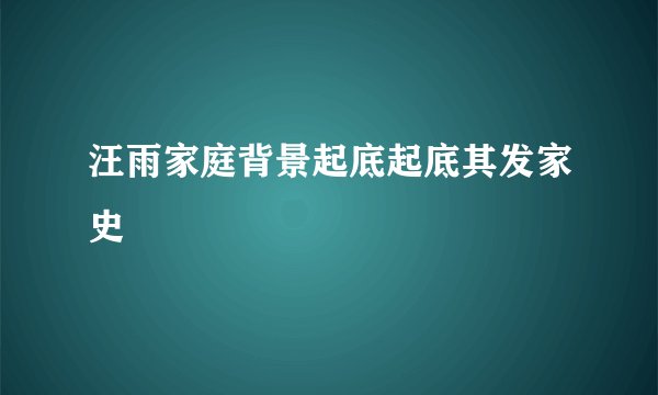 汪雨家庭背景起底起底其发家史