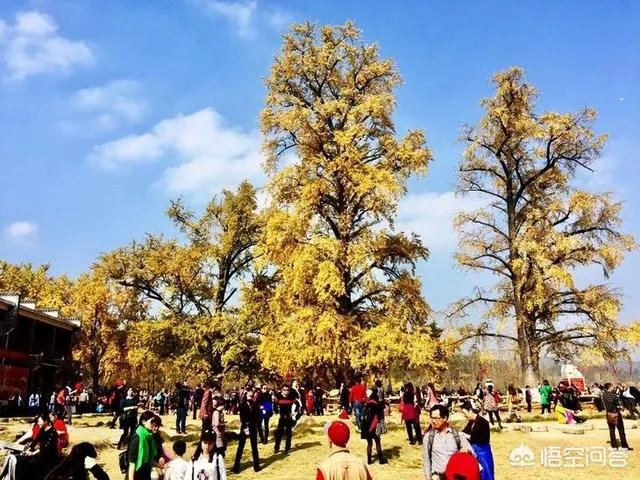 随州有哪些著名的旅游景点?