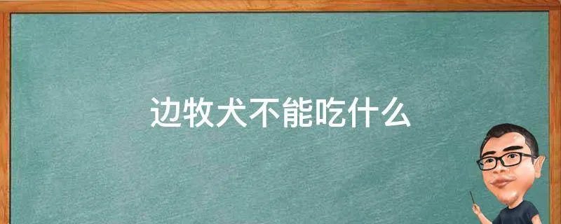 边牧犬不能吃什么