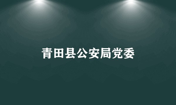 青田县公安局党委