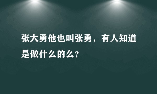 张大勇他也叫张勇，有人知道是做什么的么？