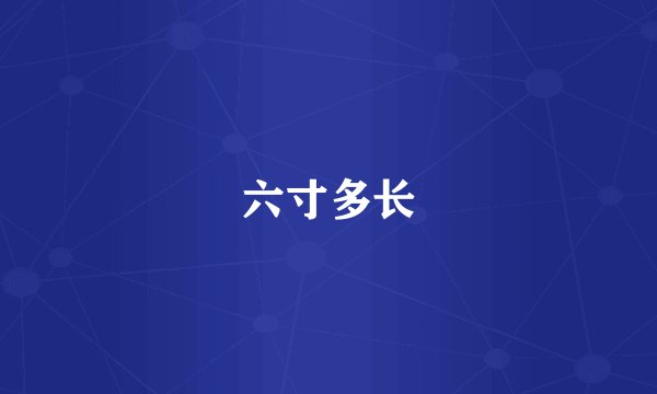 六寸多长