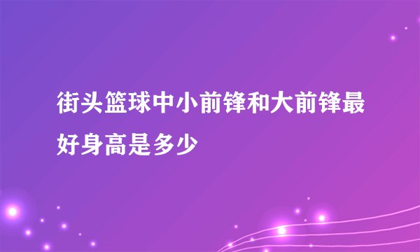 街头篮球中小前锋和大前锋最好身高是多少