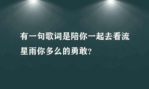 有一句歌词是陪你一起去看流星雨你多么的勇敢？