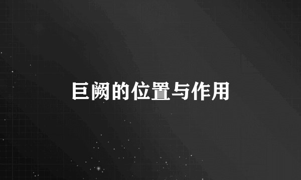巨阙的位置与作用