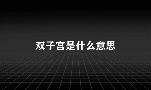 双子宫是什么意思