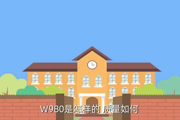 w980,W980怎么样