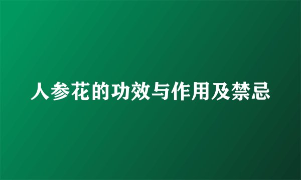 人参花的功效与作用及禁忌