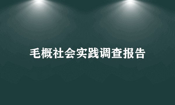 毛概社会实践调查报告