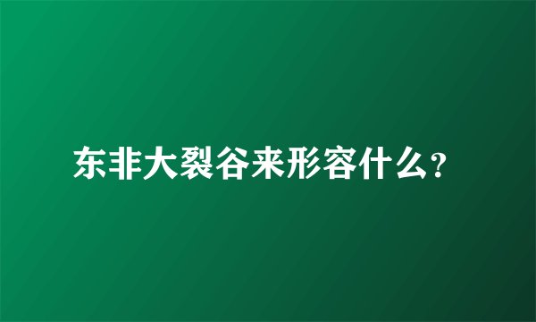 东非大裂谷来形容什么?