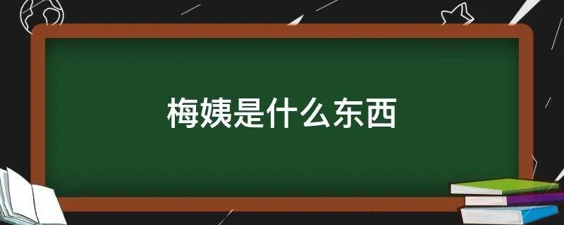 梅姨是什么东西