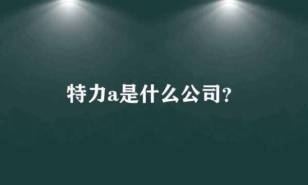 特力a是什么公司？