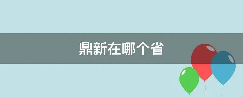 鼎新在哪个省
