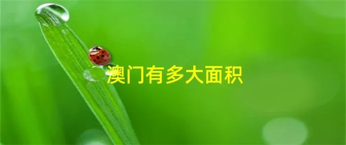 澳门有多大面积