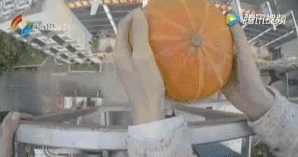 广州一女子被高空掉落的狗砸成重伤你怎么看？
