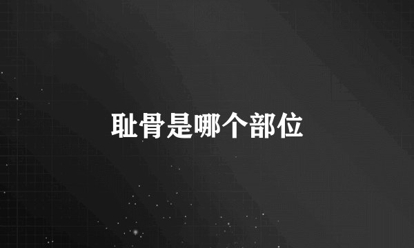 耻骨是哪个部位