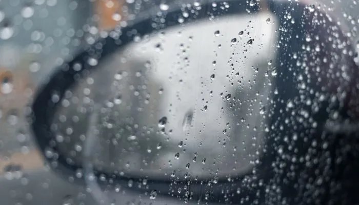 直击重庆暴雨袭城:大蛇被冲到马路 今局部仍有暴雨