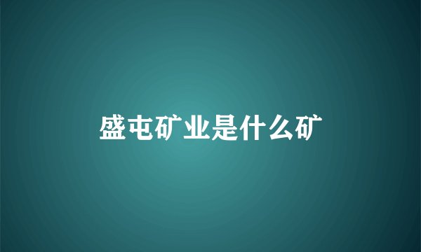 盛屯矿业是什么矿