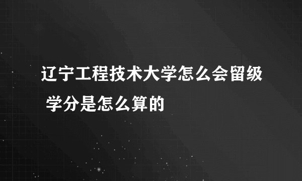 辽宁工程技术大学怎么会留级 学分是怎么算的