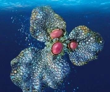 海螺珠是什么?和珍珠有什么区别?