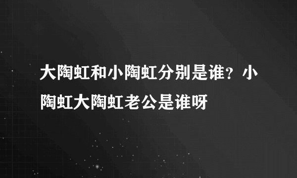 大陶虹和小陶虹分别是谁?小陶虹大陶虹老公是谁呀