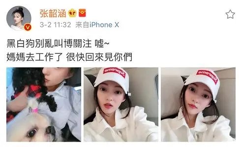 为什么说张韶涵发文疑暗讽范玮琪夫妇呢?