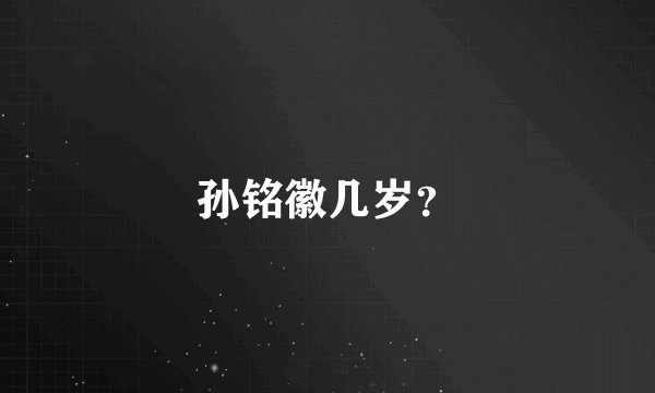 孙铭徽几岁？