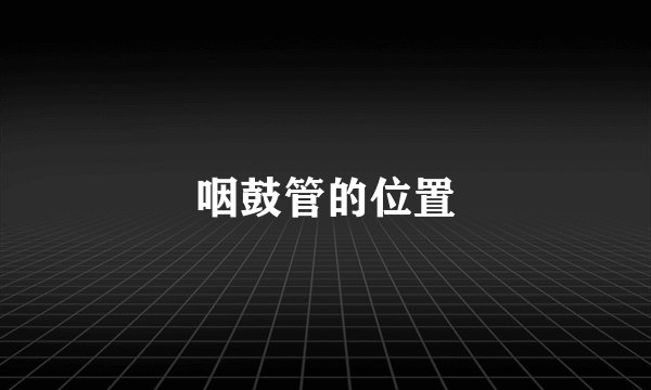 咽鼓管的位置