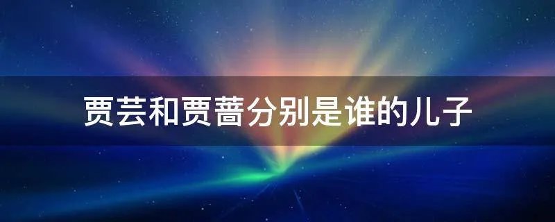 贾芸和贾蔷分别是谁的儿子