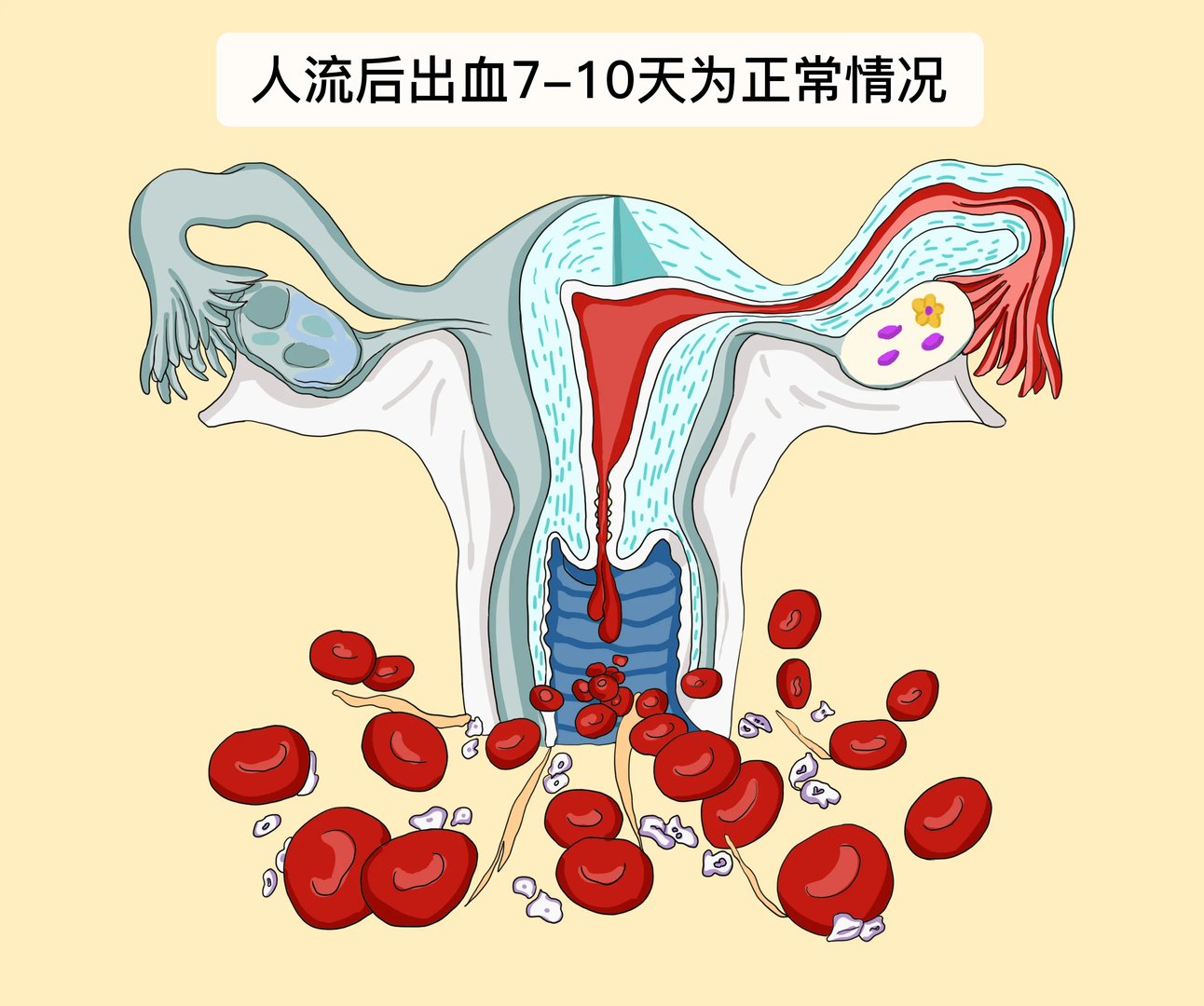 做完人流出血几天正常