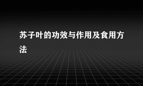 苏子叶的功效与作用及食用方法