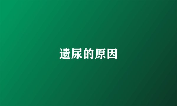 遗尿的原因