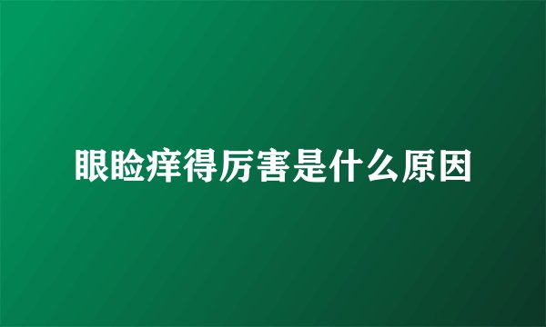 眼睑痒得厉害是什么原因