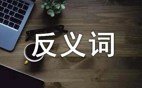 温和的反义词