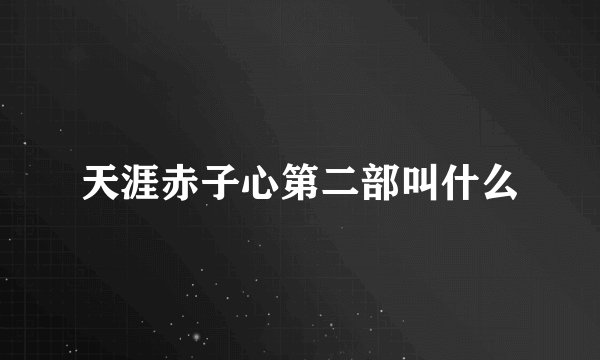 天涯赤子心第二部叫什么
