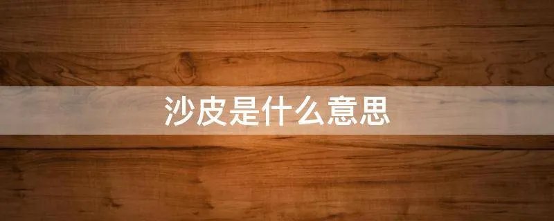 沙皮是什么意思