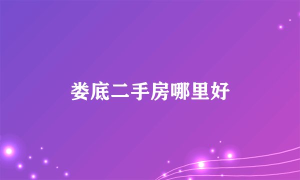 娄底二手房哪里好